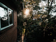 Sunlit garden space behind a newly purchased Dutch home.
