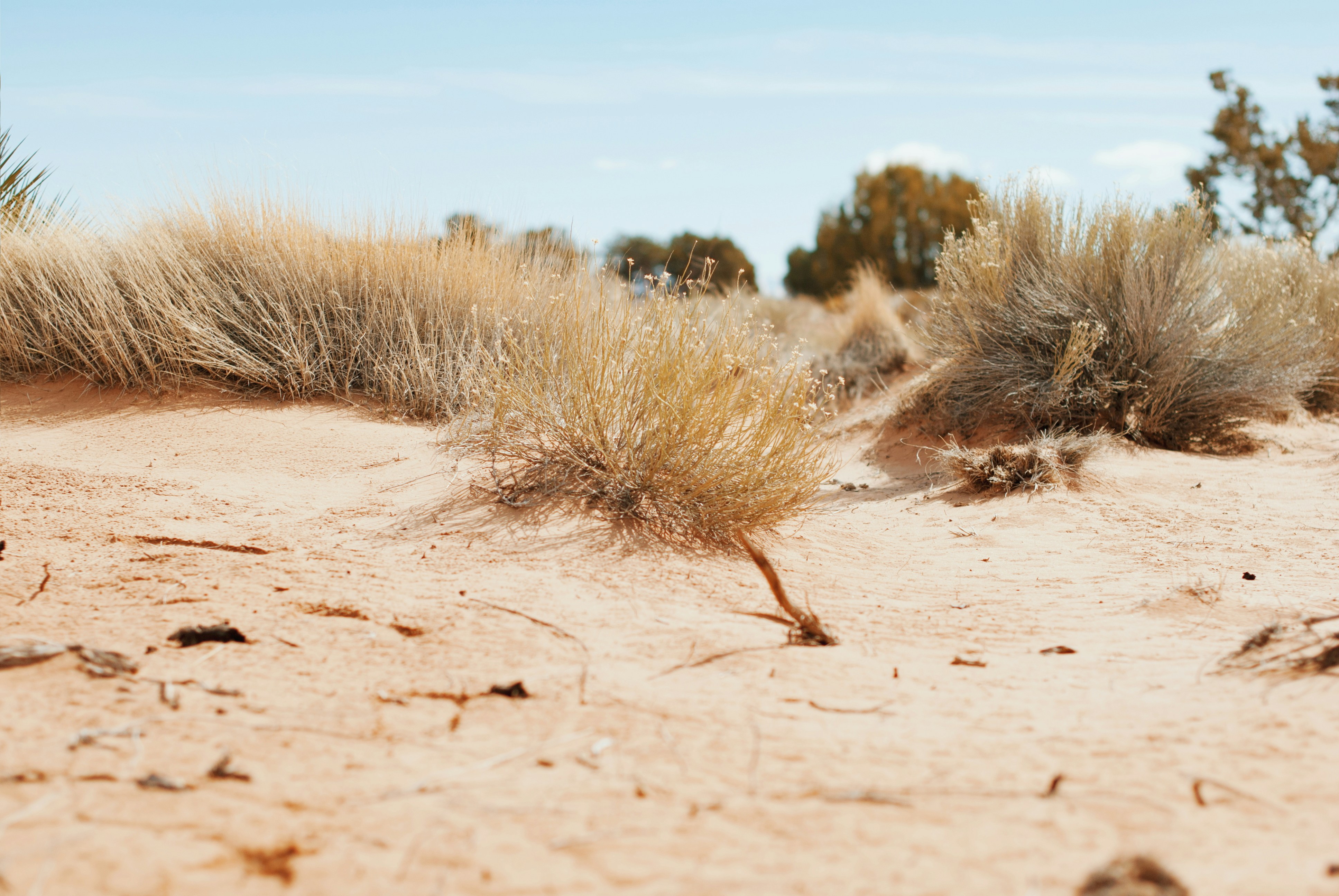 Photo by octoberroses