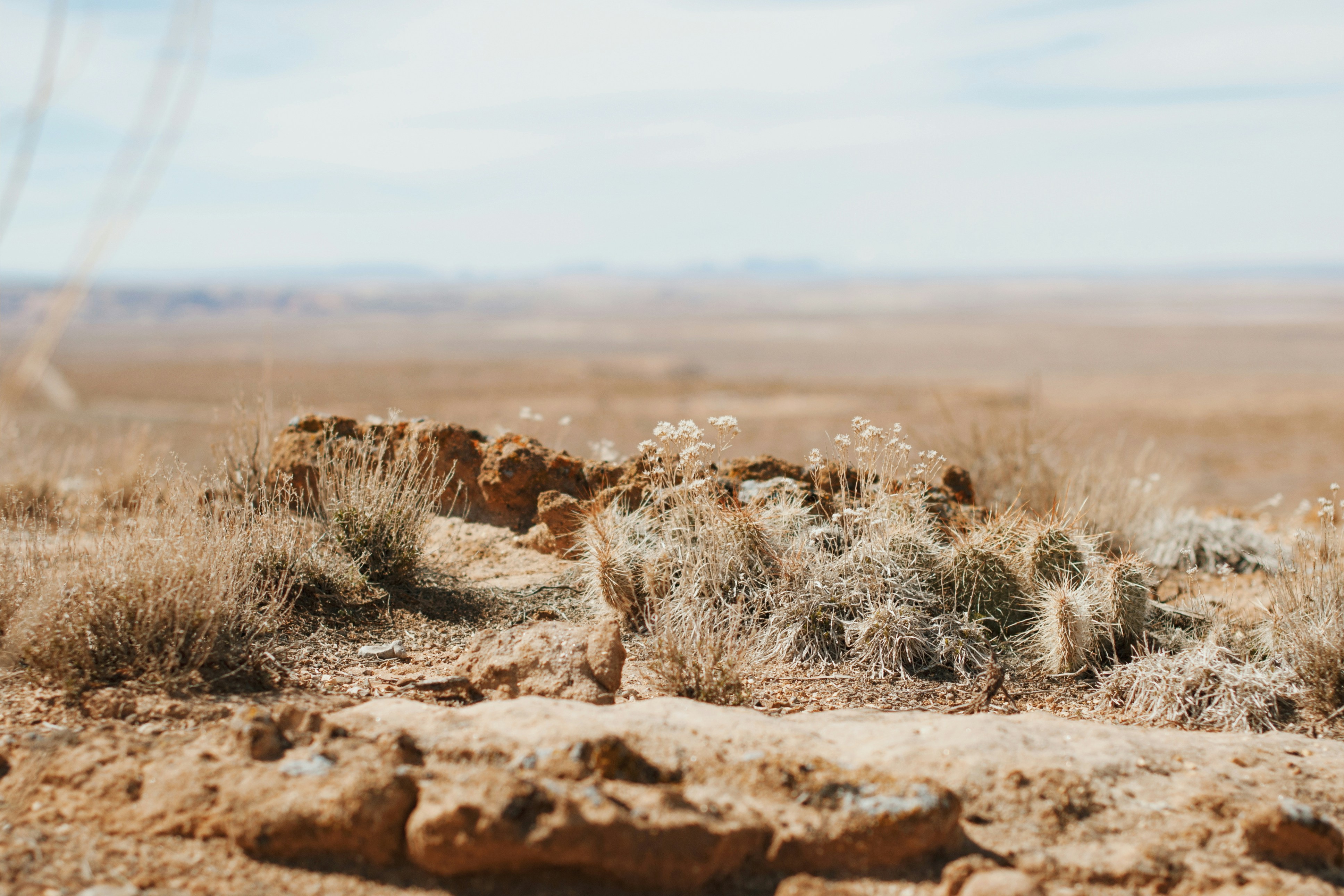 Photo by octoberroses