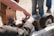 Hands are working on assembling or repairing a small wheeled device, possibly a robot or machine, with visible gears and metal components. Several wheels with thick treads are attached to a metal frame. A group of people stands around, suggesting teamwork or collaboration.