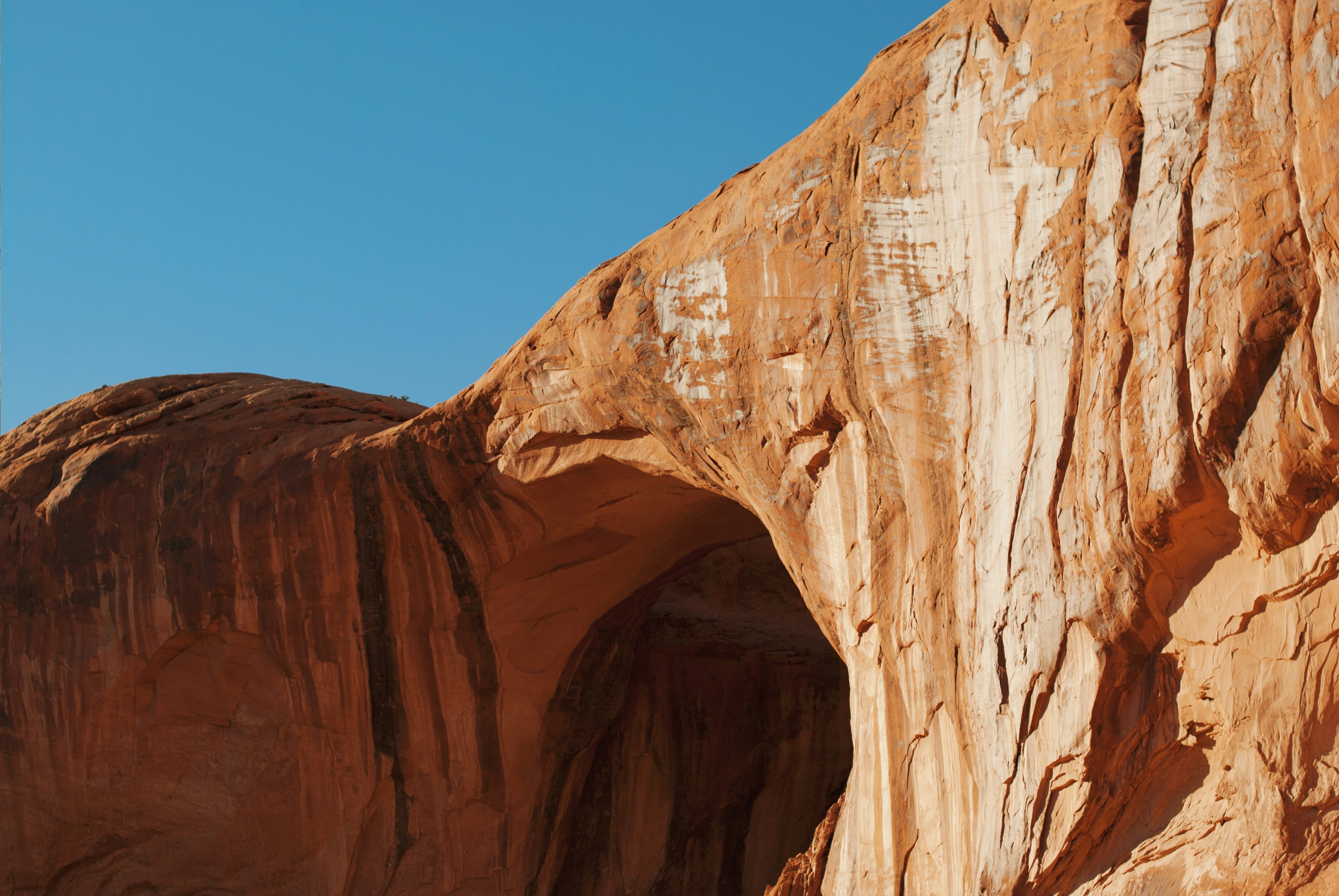 Photo by octoberroses