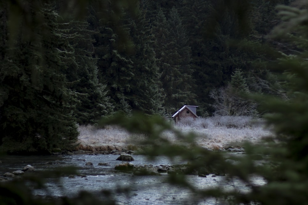 brown cabin near river during daytime