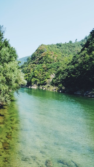 A serene view of the Swat River flowing gently past lush green hills under a clear blue sky.