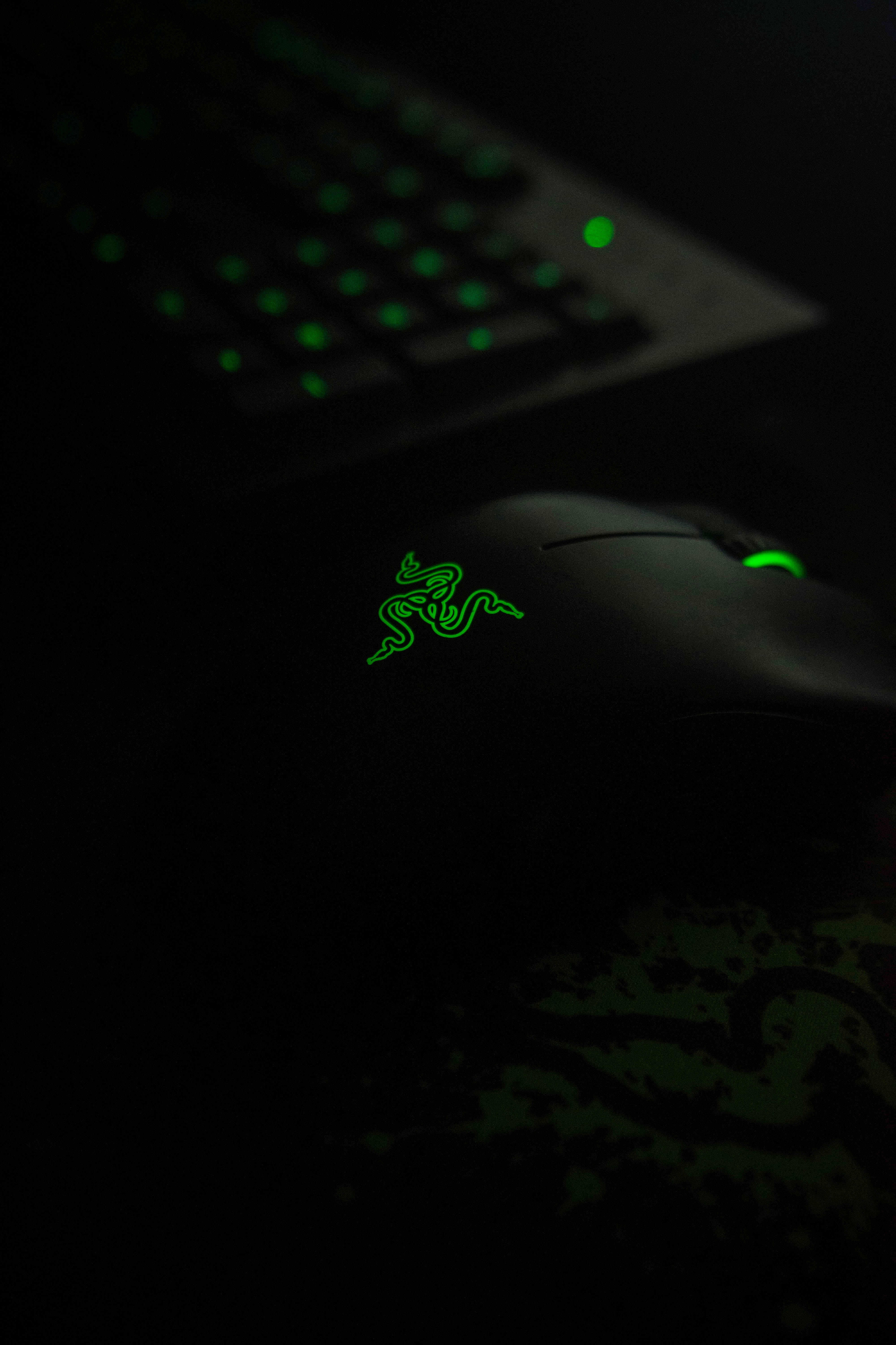 Razer Pictures Download Free Images On Unsplash
