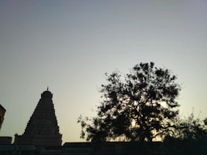 The serene and historic Ram Mandir in Ayodhya bathed in soft morning light