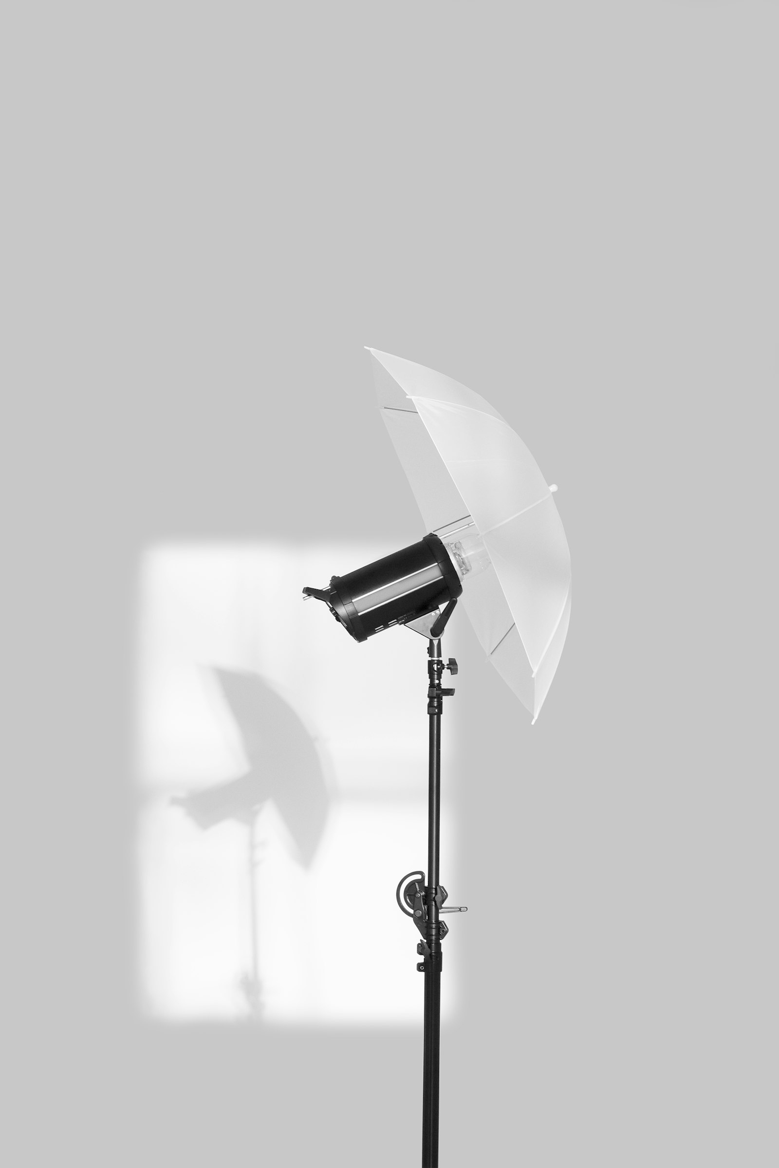 Canon EF 100mm F2.8 Macro USM sample photo. Black and white studio photography