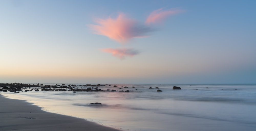 seashore under blue sky