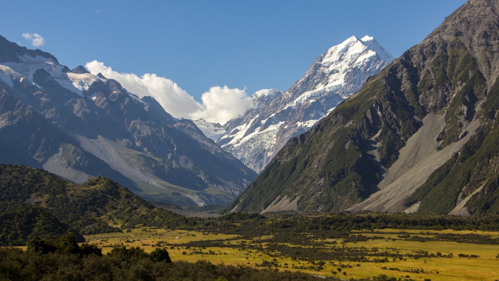 a view of a valley with mountains in the background