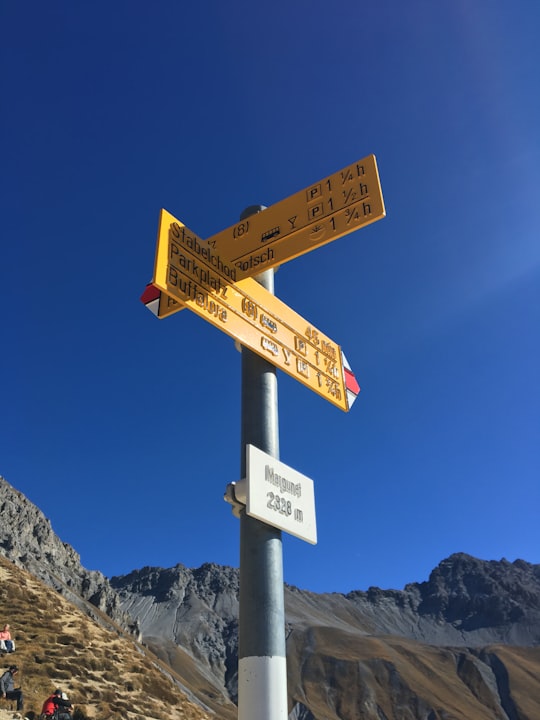 worm eye view of road sign in 7530 Zernez Switzerland