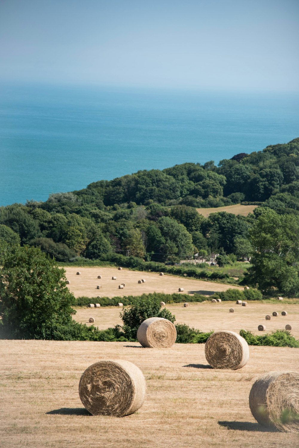 brown hay roll on the field