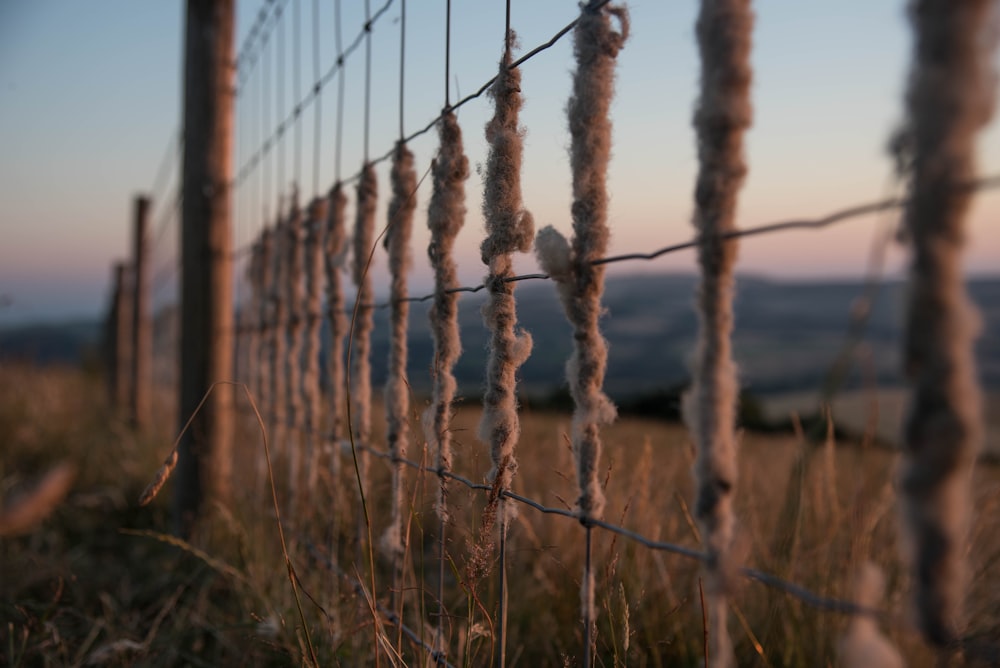 Photographie de clôture de ranch marron et gris