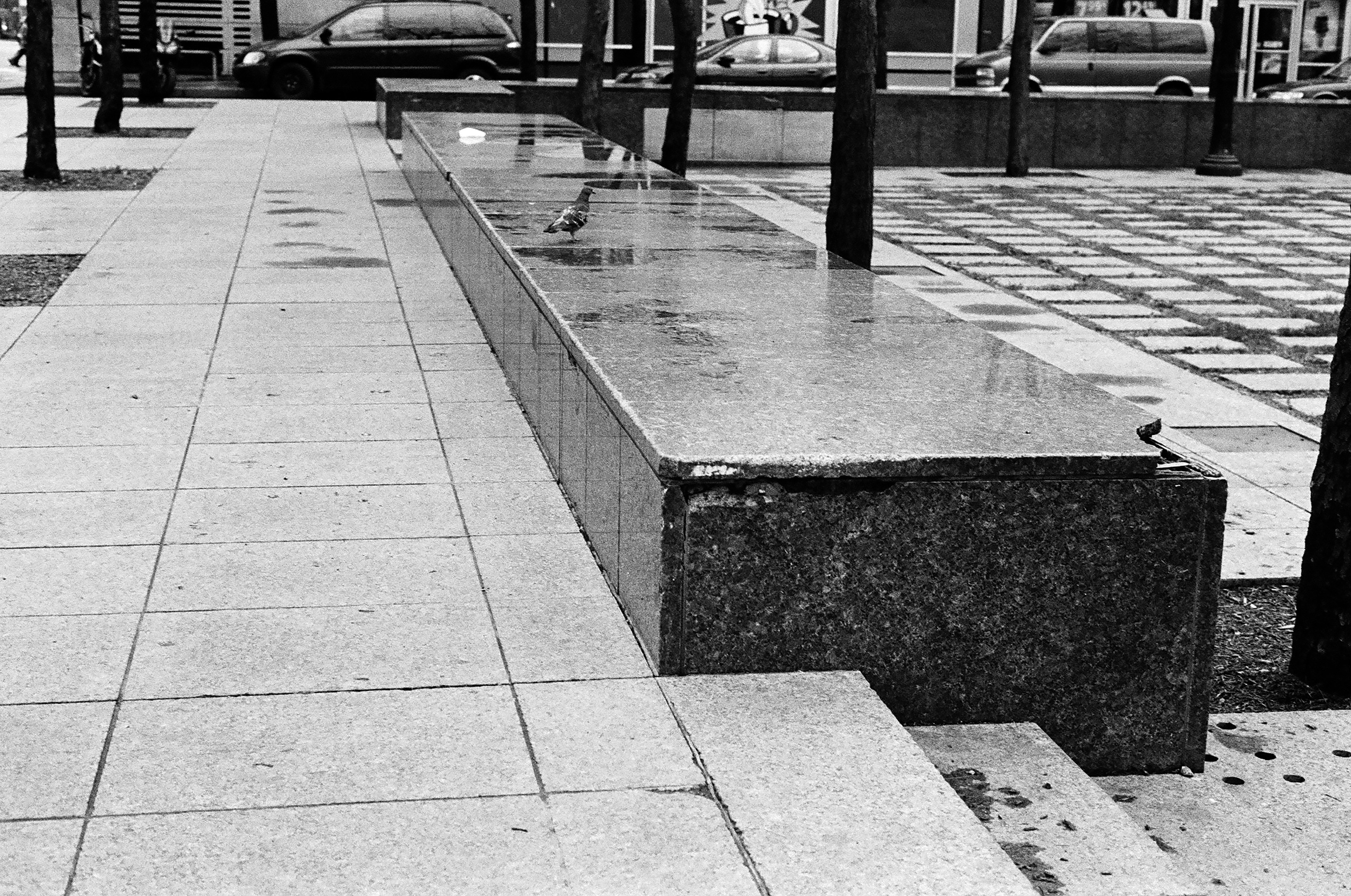 Серебряный тротуар в канаде