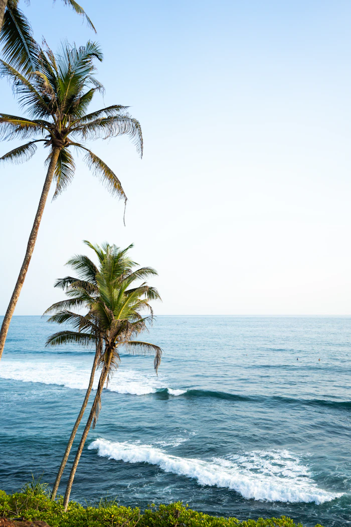 Waves by a palm-lined island