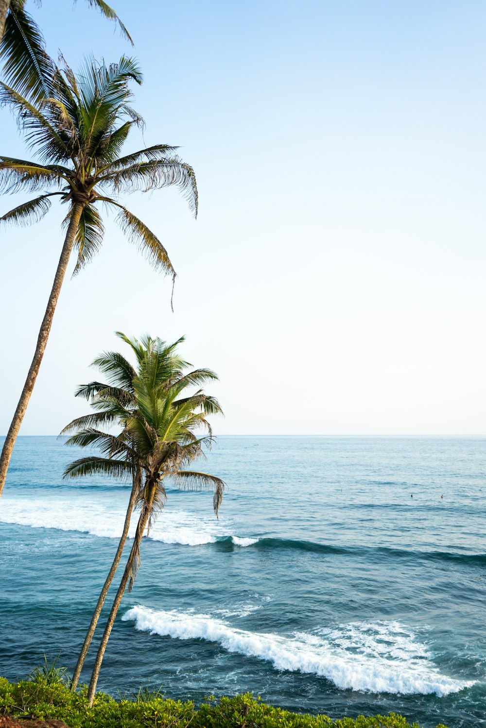 ocean waves on island with trees