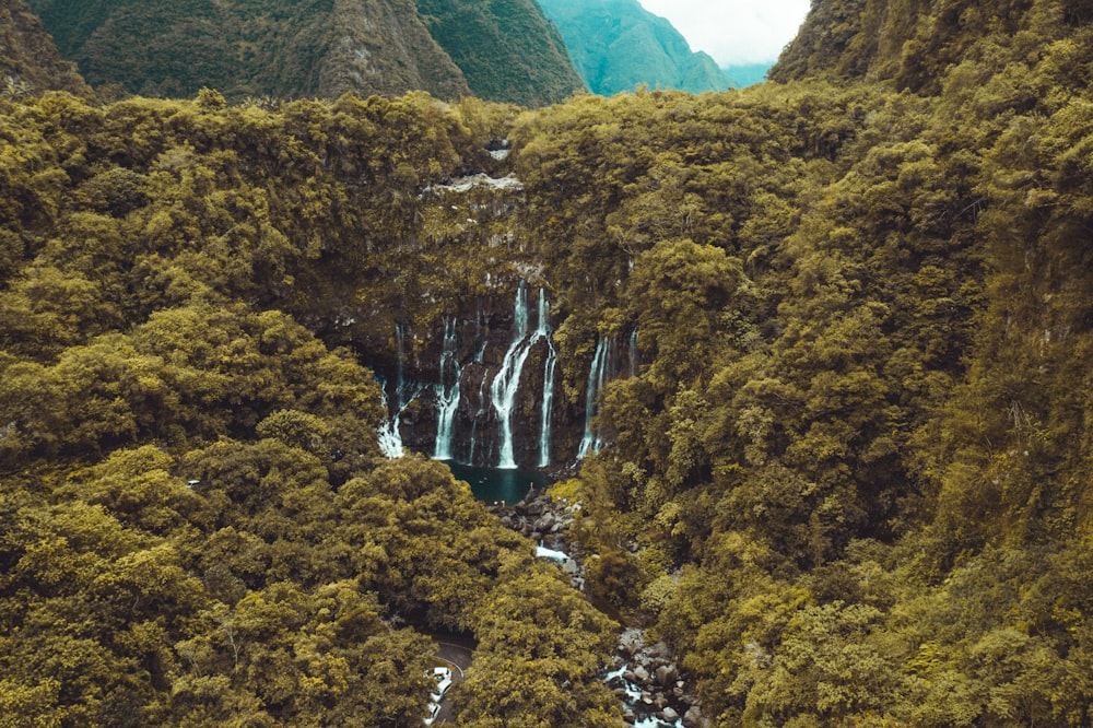 cascades entourées d’arbres pendant la journée