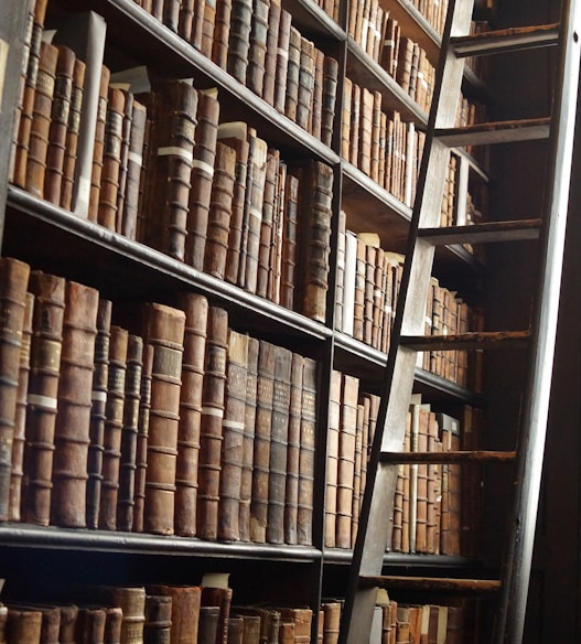 wooden ladder by bookshelves