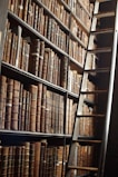 A close-up of a ladder shelf showcasing its rich wood grain and neatly arranged books.