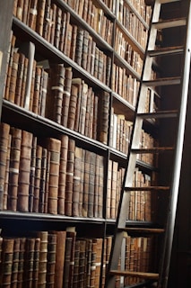 Bookshelves filled with legal texts and references inside alf’s office.