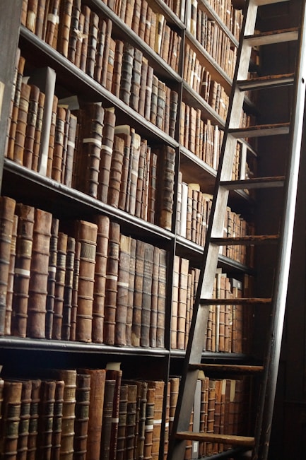 wooden ladder by bookshelves