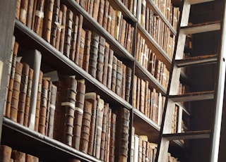 wooden ladder by bookshelves