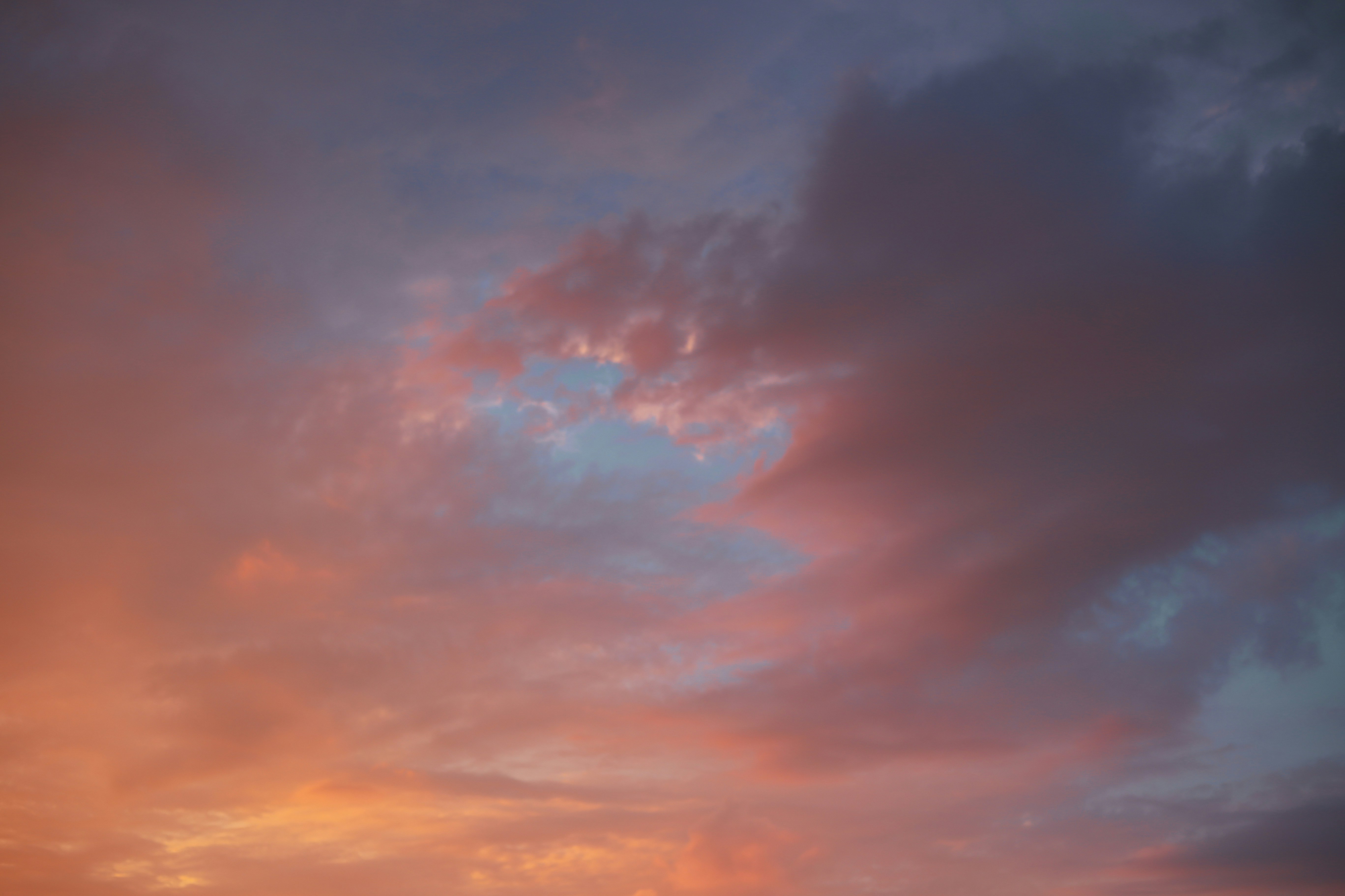 Photo by dyanawingso