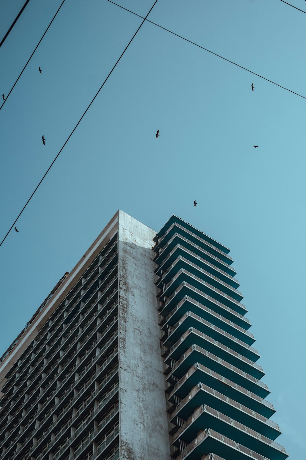 昼間の灰色のコンクリート高層ビルのローアングル撮影