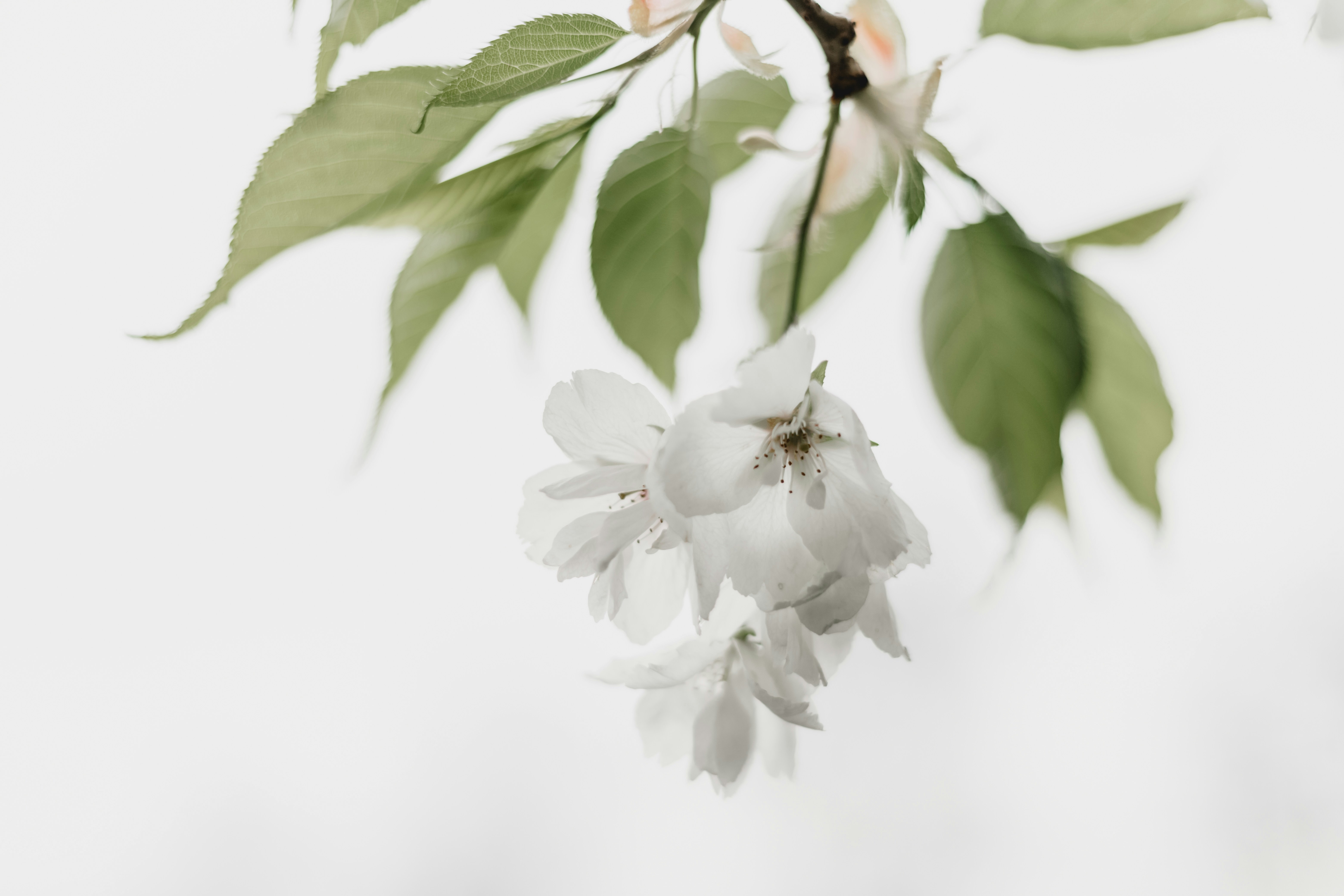 Photo by georgiadelotz