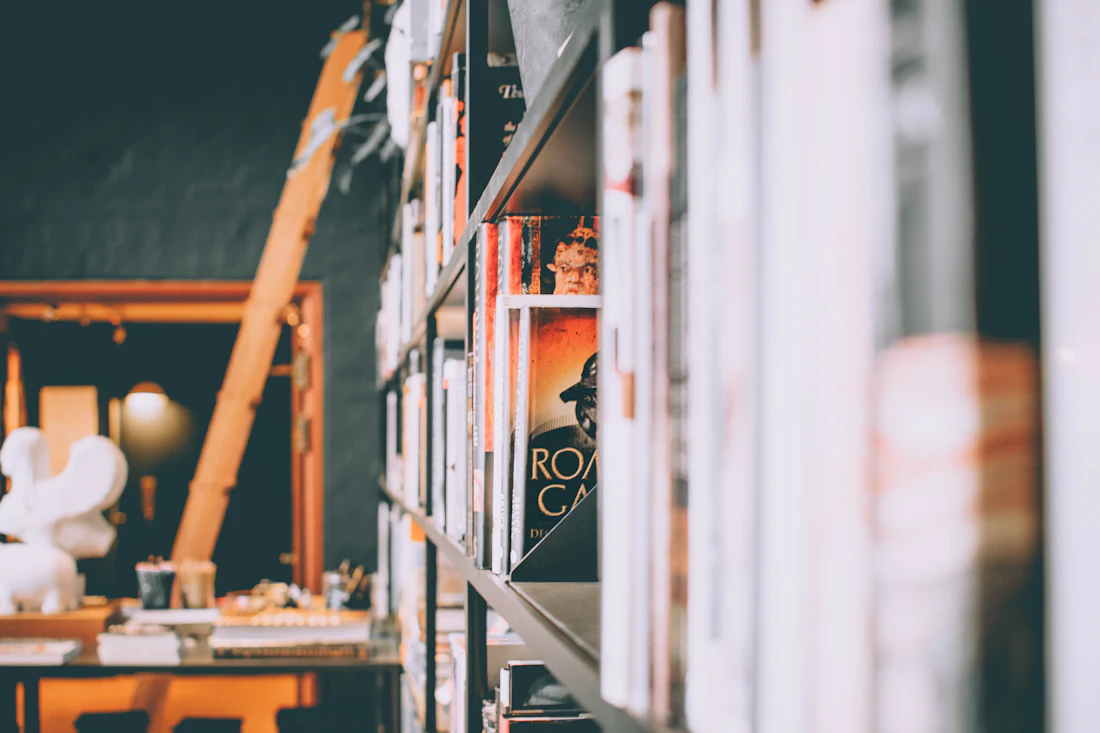 Books on a shelf in warm light