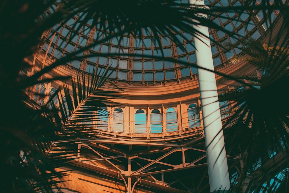 brown and glass building dome