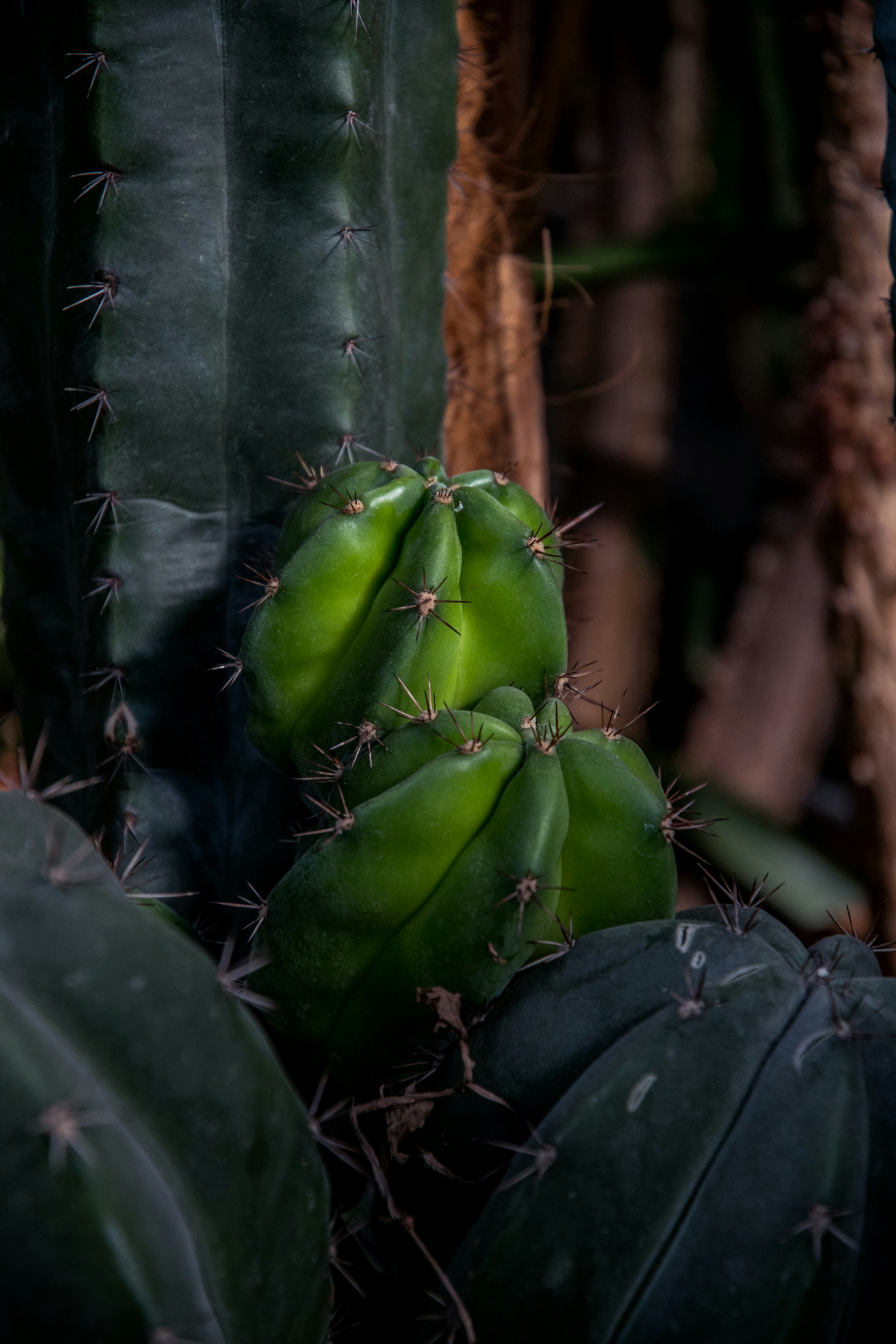 Photo by katerinalandia