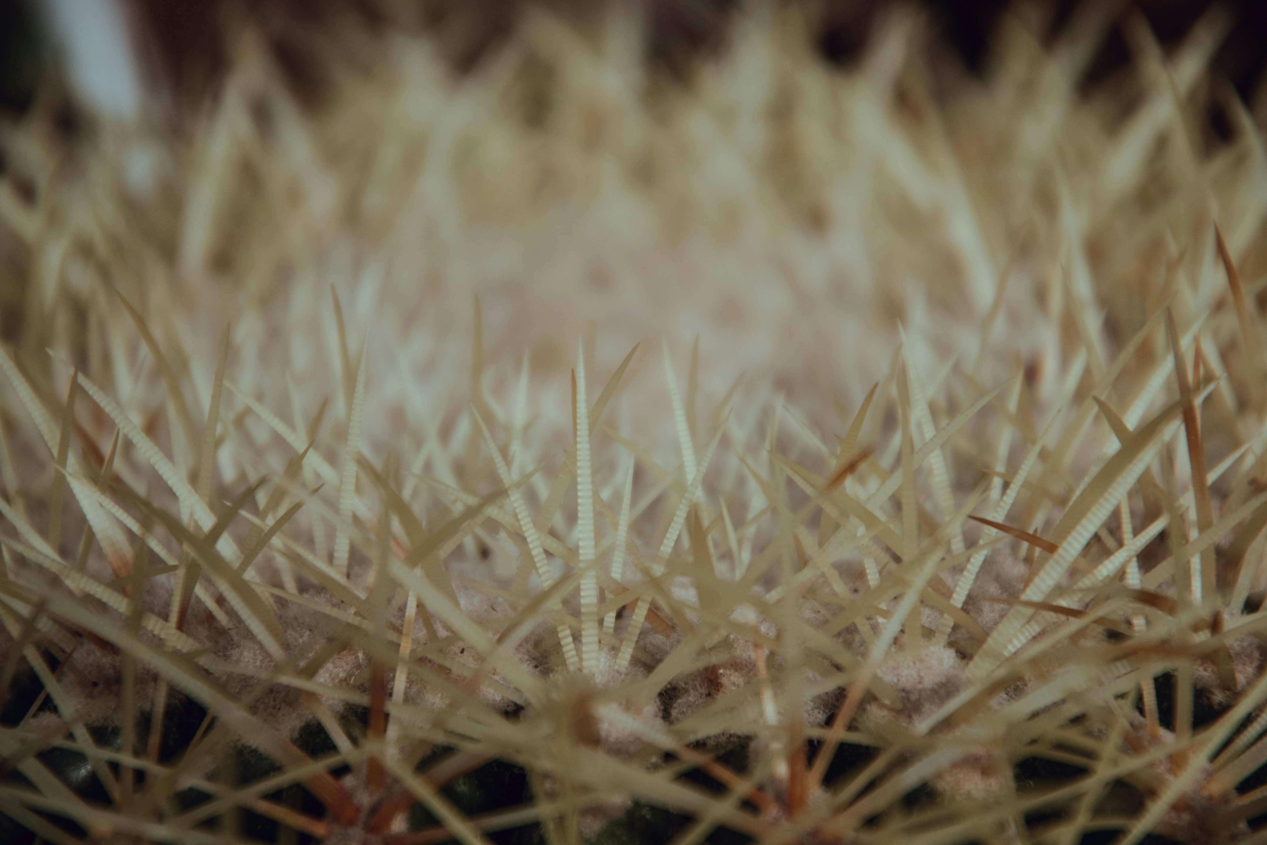 Photo by katerinalandia