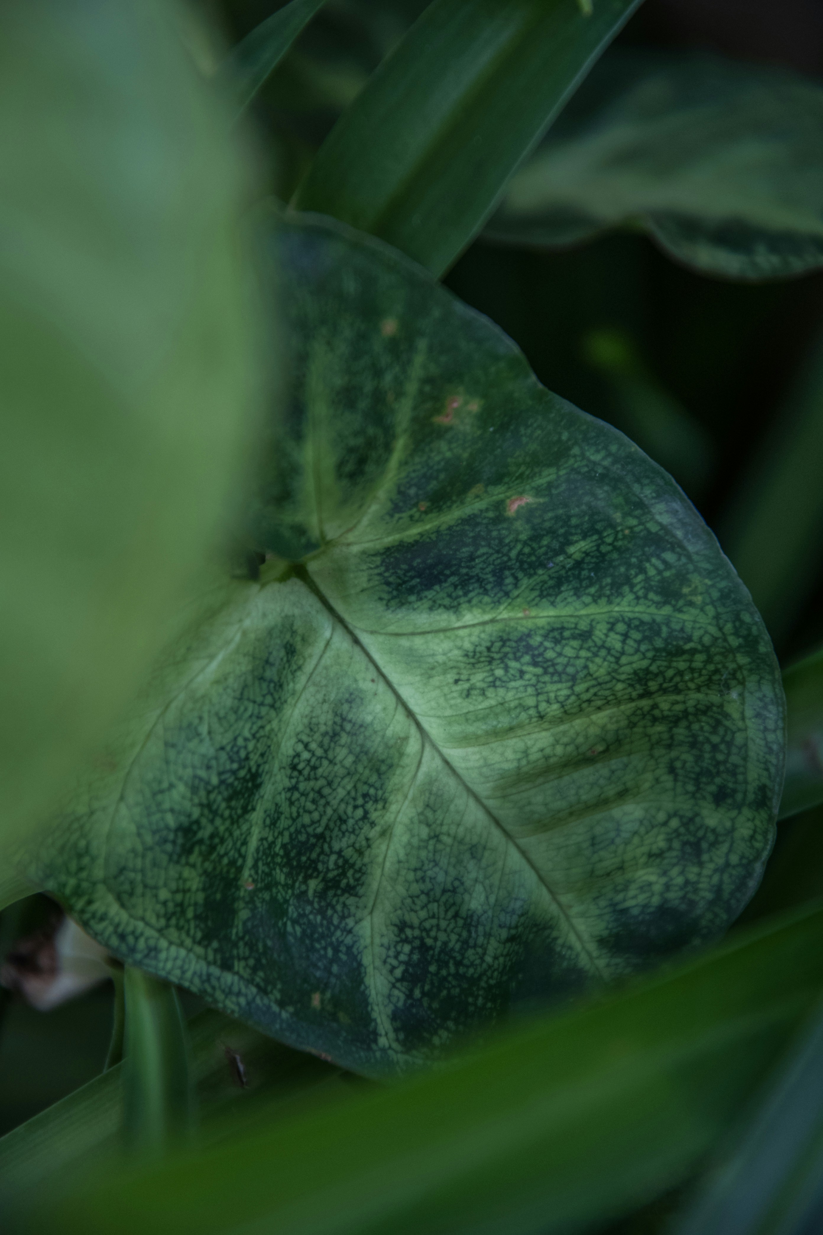 Photo by katerinalandia