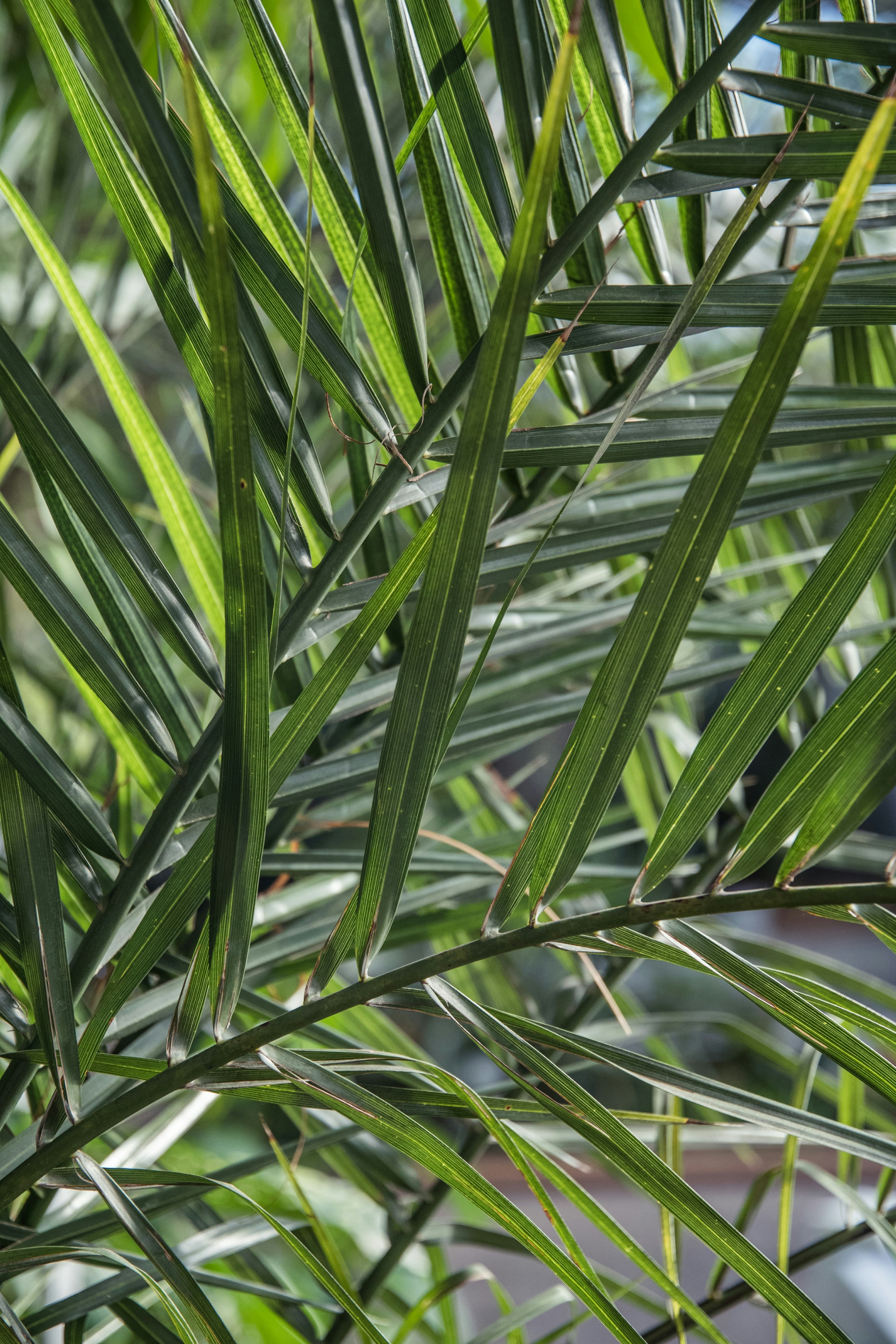 Photo by katerinalandia