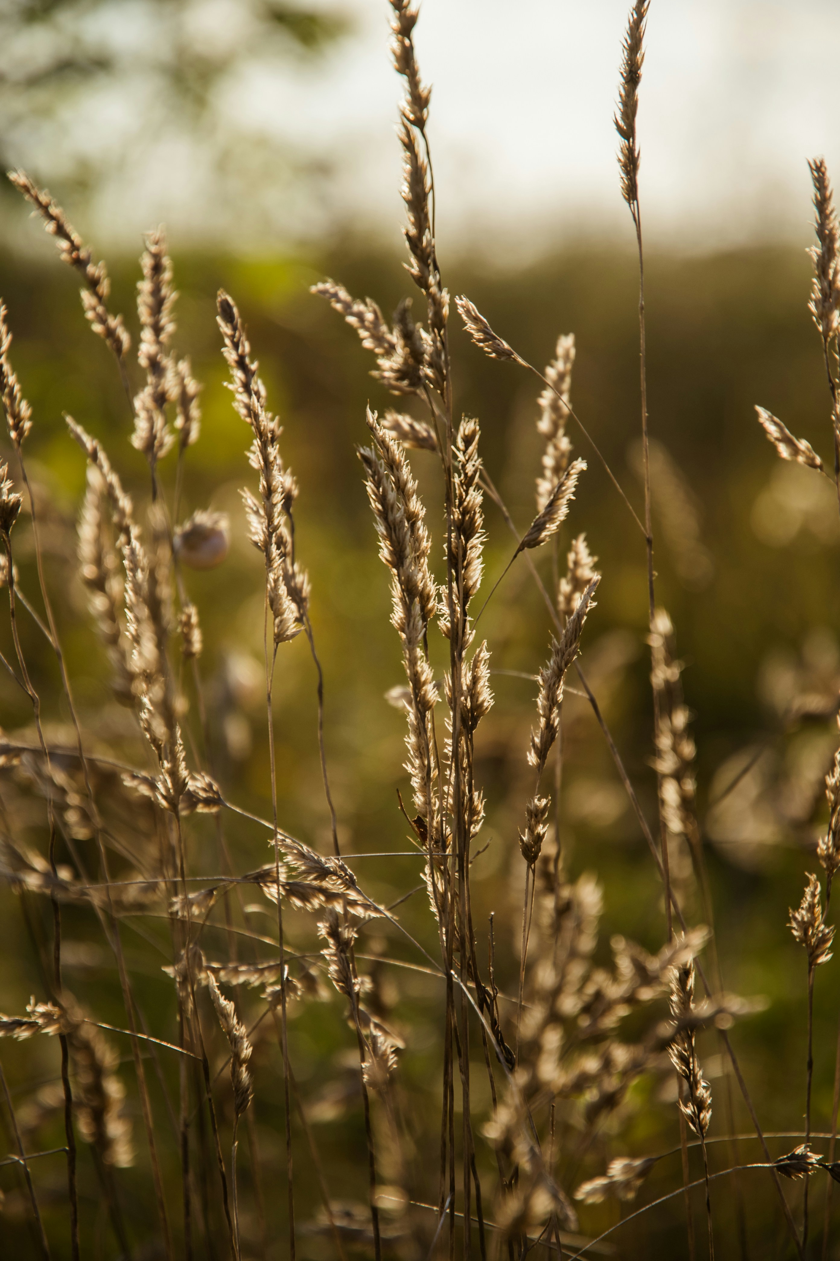 Photo by katerinalandia