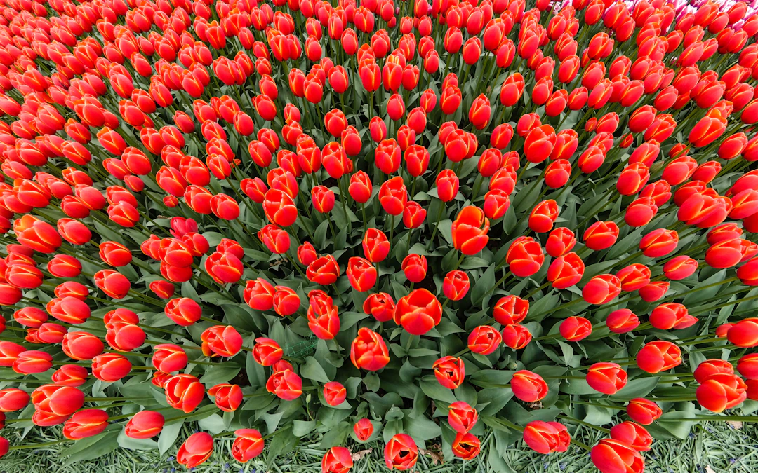 24-Day Budget Backpacking: Turkey, Georgia & Armenia