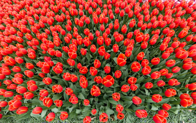 24-Day Budget Backpacking: Turkey, Georgia & Armenia