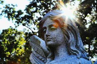 A stone statue of an angel with detailed facial features and feathered wings is surrounded by greenery. Sunlight filters through the leaves, creating a halo effect around the statue’s head.