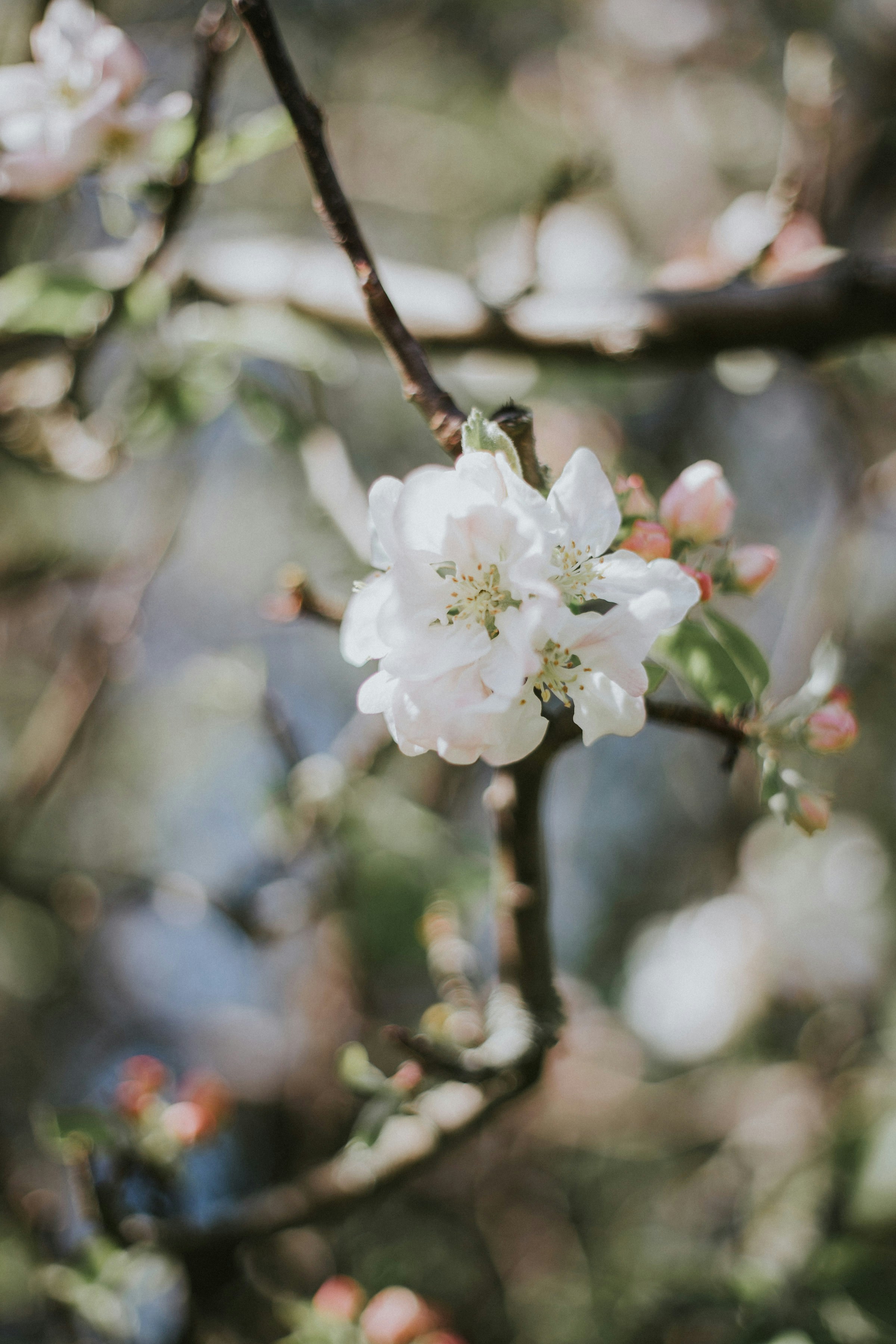 Photo by ellecartier