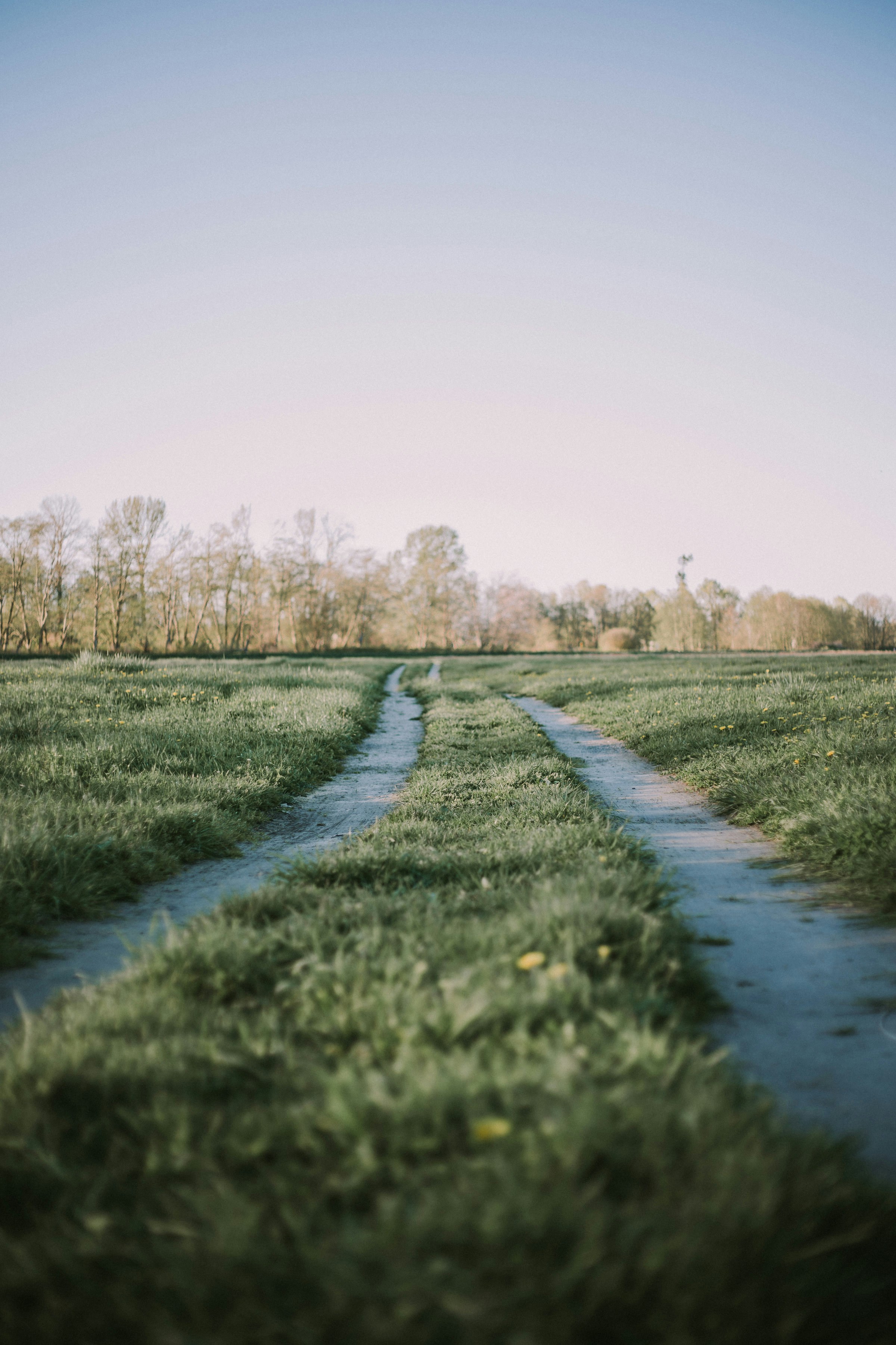 Photo by ellecartier