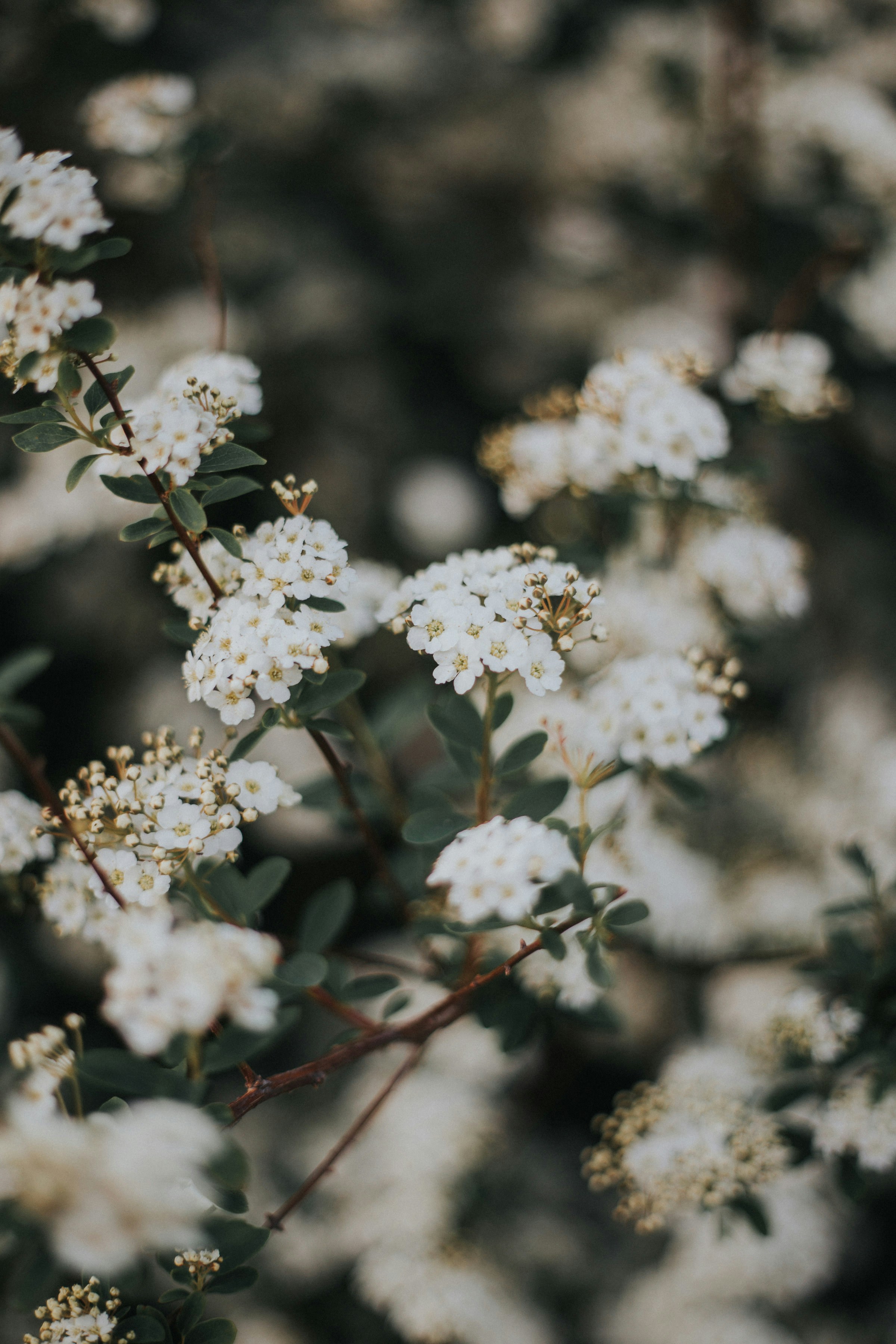 Photo by ellecartier