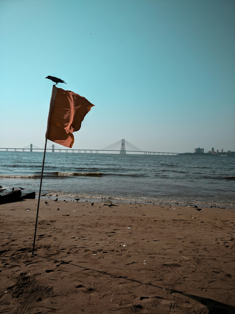 brown banner beside seashore