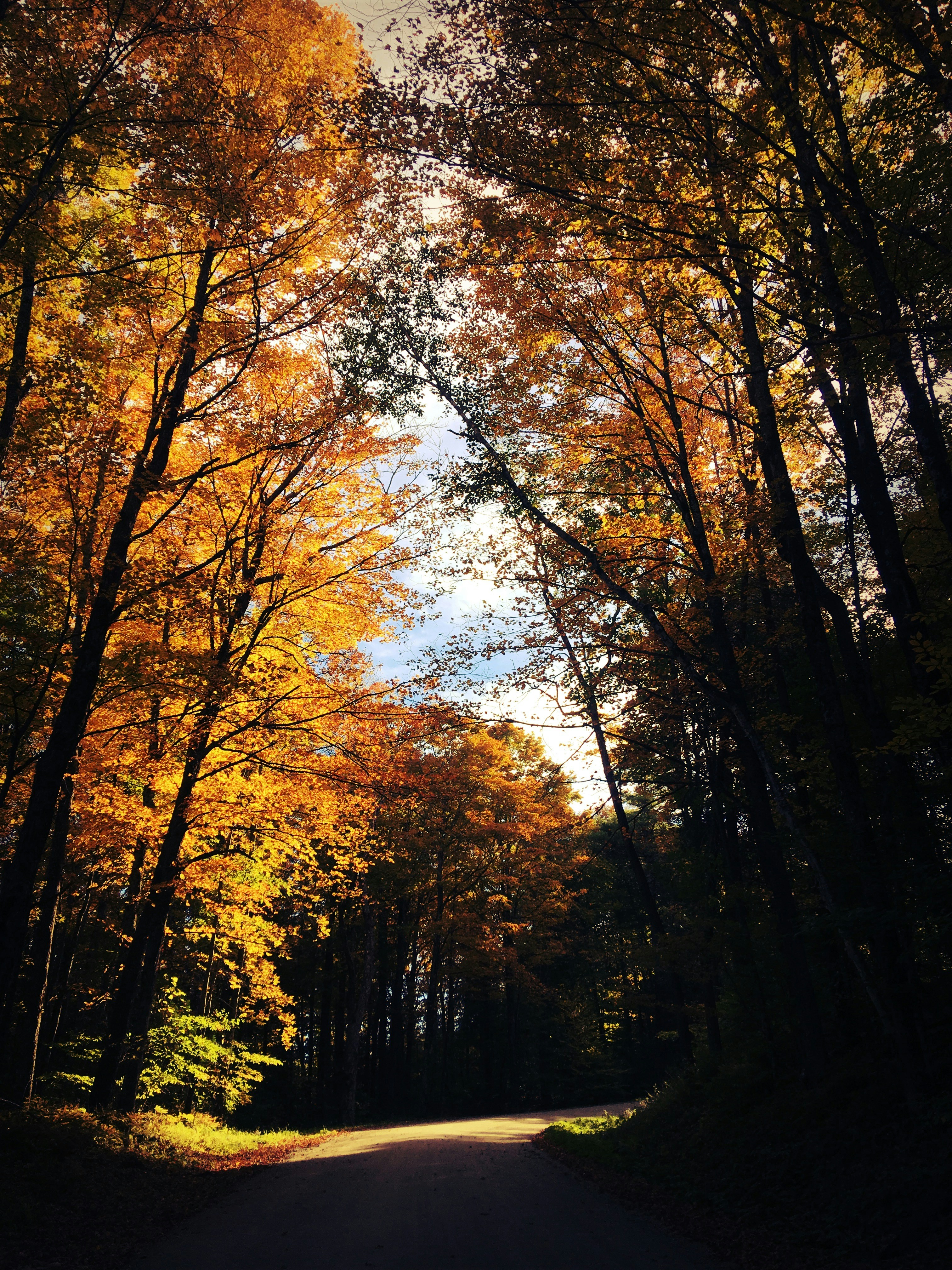 Photo by kristispencer98