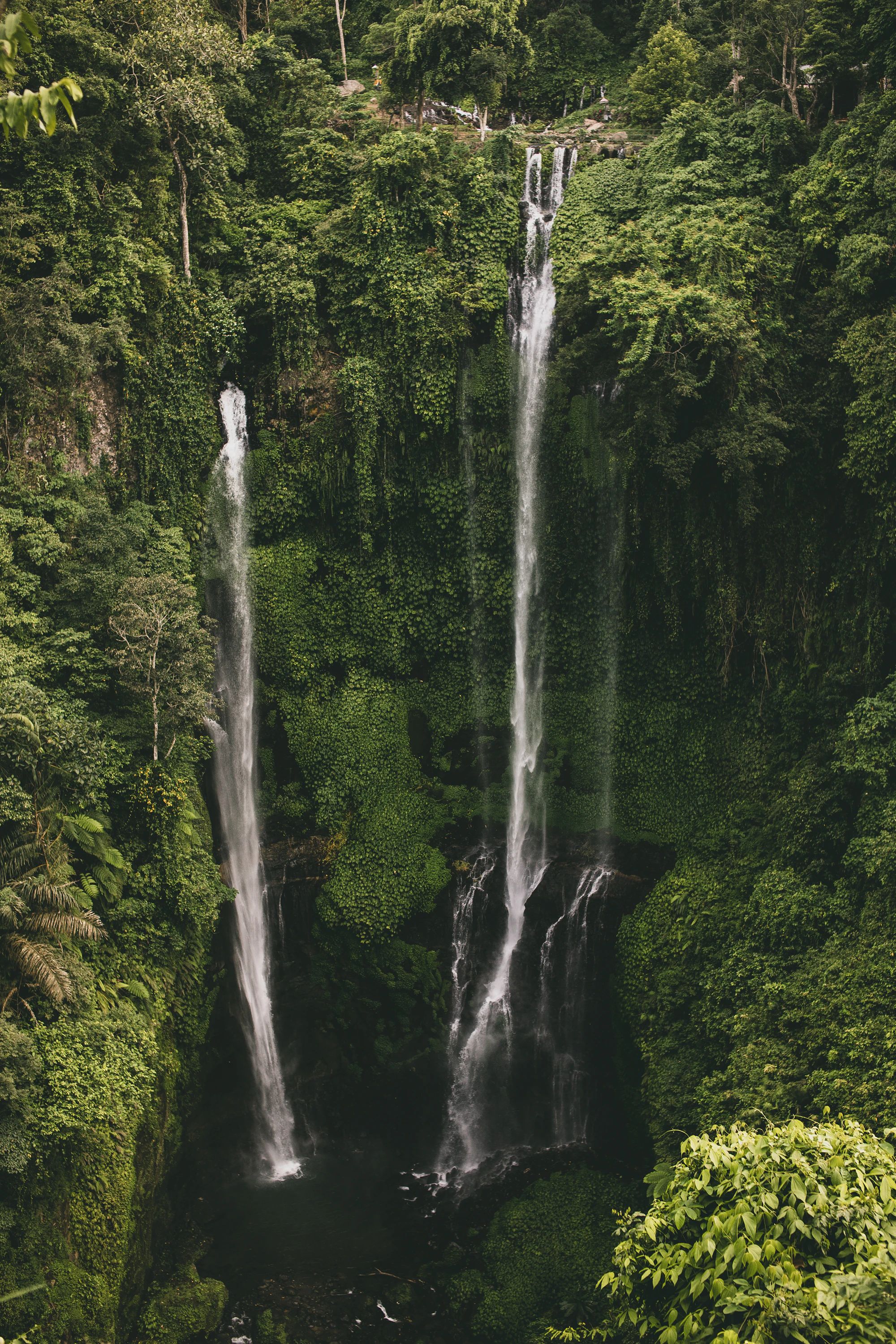 Waterfall in the jungle near Munduk, Bali