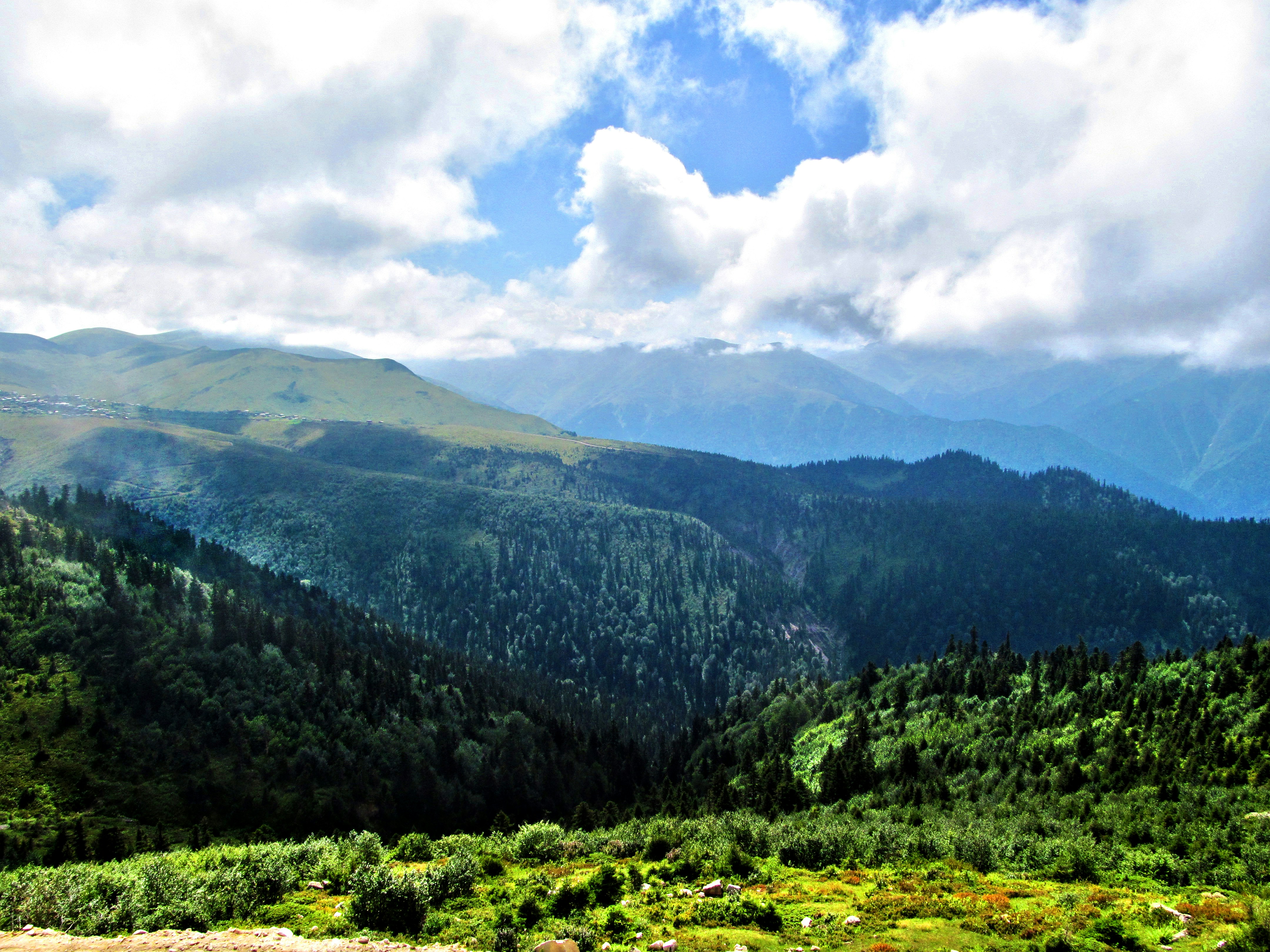 Photo by magicshot89