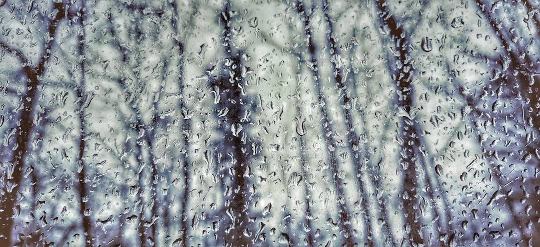 finestre schizzate di pioggia di fronte agli alberi