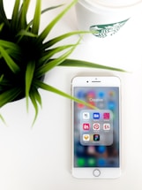A smartphone lies on a white surface with an open folder labeled 'Creative' displaying various app icons. To the left of the phone, an artificial green plant adds a touch of nature, and at the top right, part of a Starbucks coffee cup with its logo is visible.