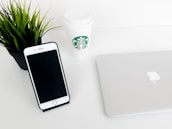 A minimalist office desk setup featuring a smartphone on a stand, a closed laptop, a branded coffee cup, and a small potted plant.