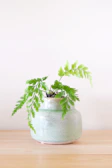 A sleek modern ceramic pot holding a lush green fern on a wooden table.
