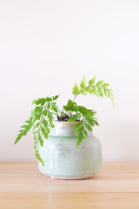 Green Plant Hanger