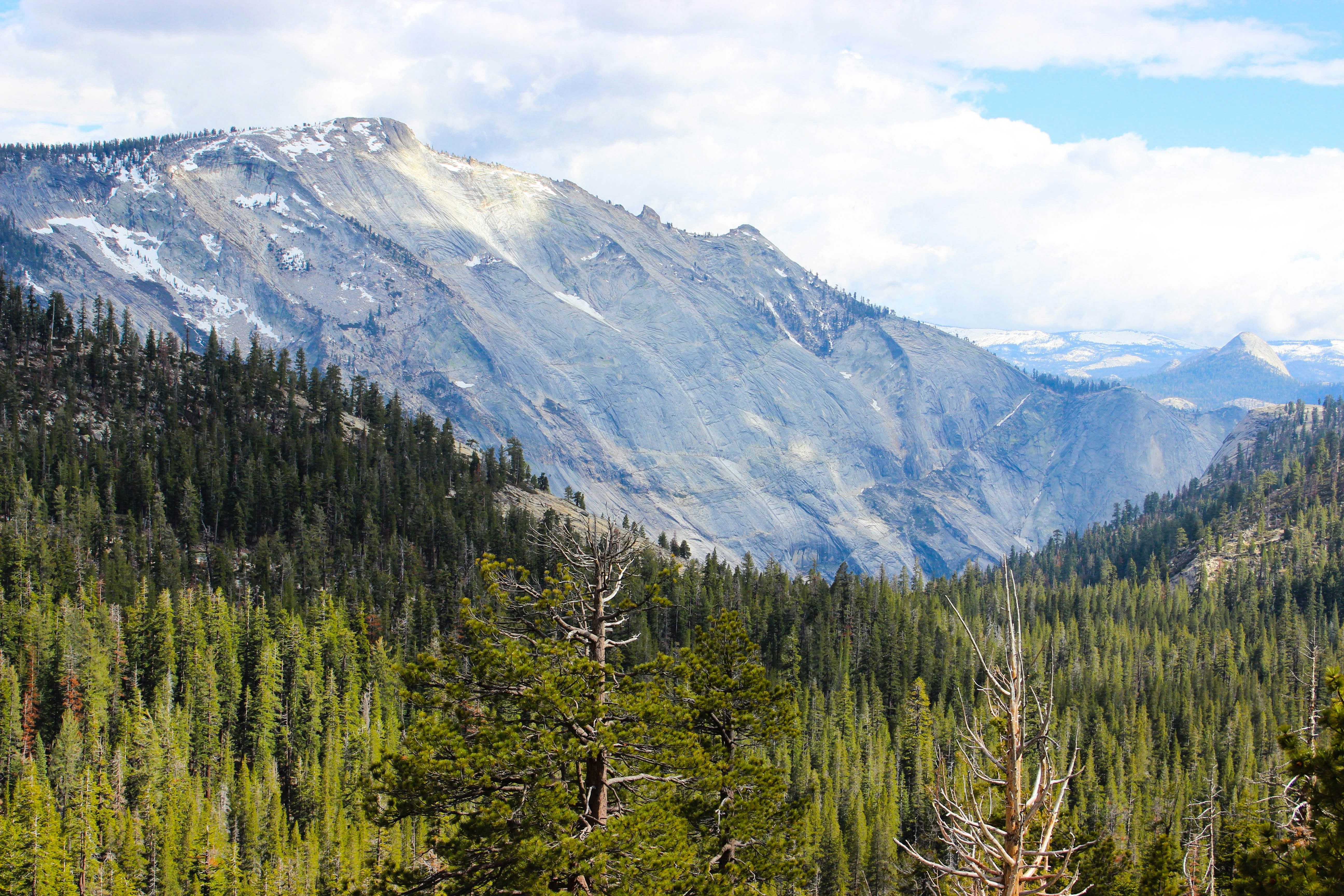 Photo by hannah_mary